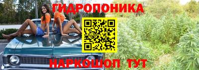 герыч Ливны