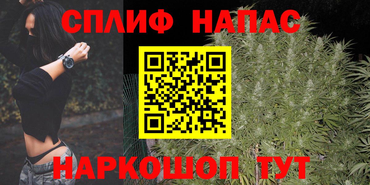 МАРИХУАНА конопля Саянск